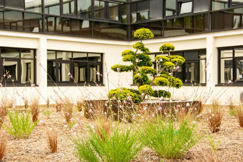 Aménagement extérieur des locaux de Nantes